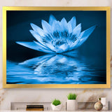 Blue Water Lily