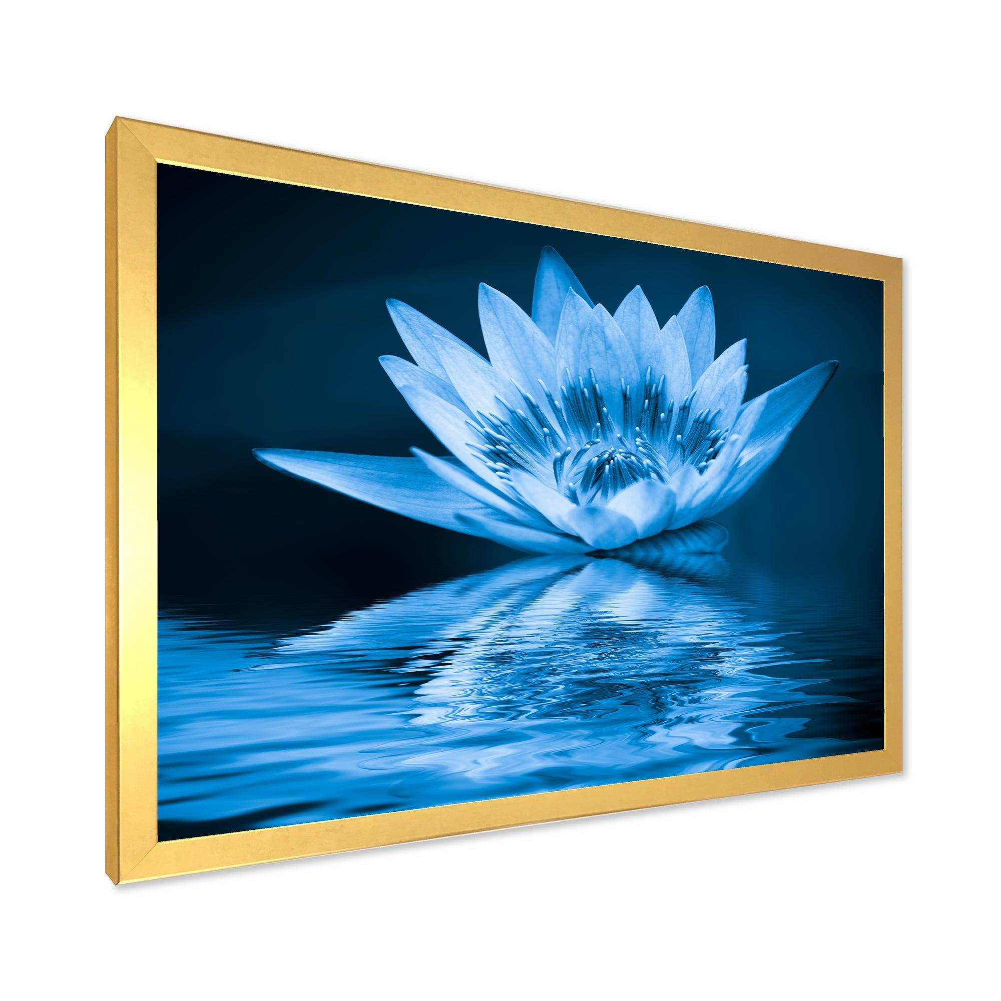 Blue Water Lily