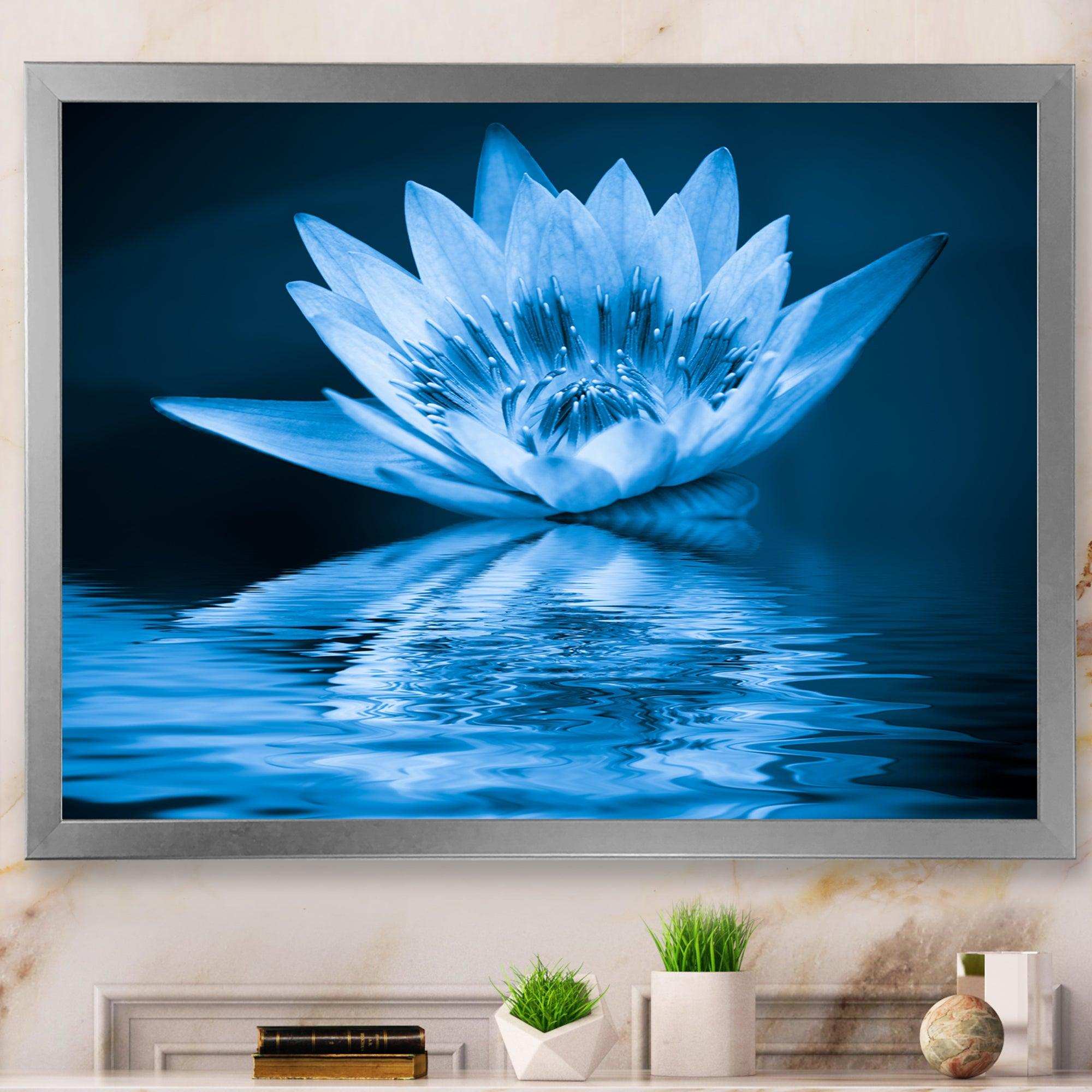 Blue Water Lily