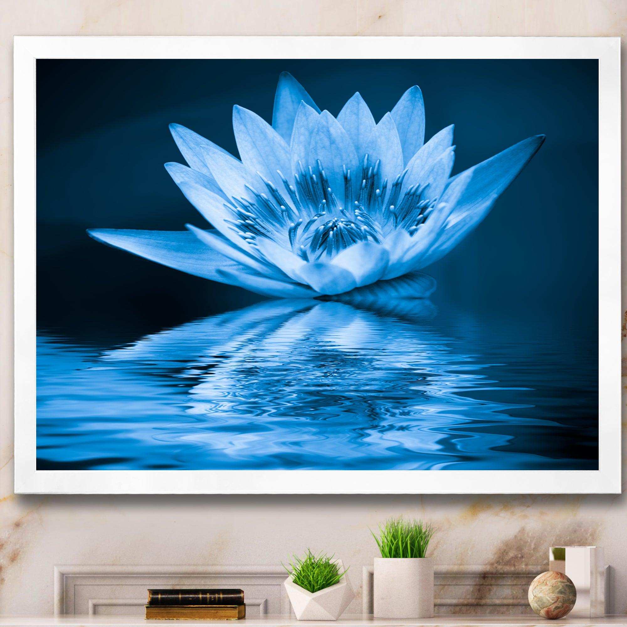 Blue Water Lily