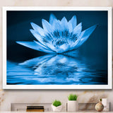 Blue Water Lily