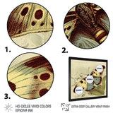 Vintage Illustration Of Butterfly III