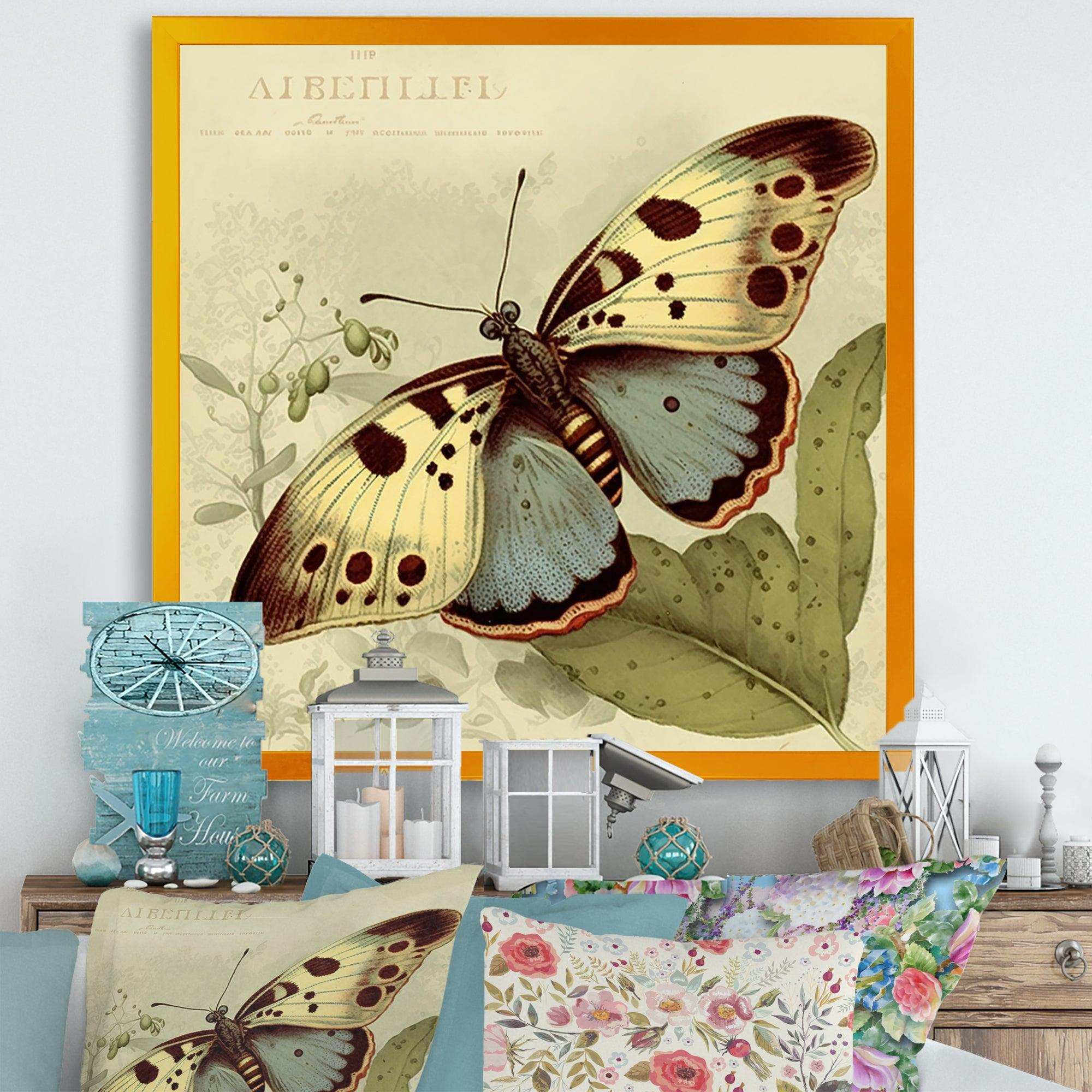 Vintage Illustration Of Butterfly III