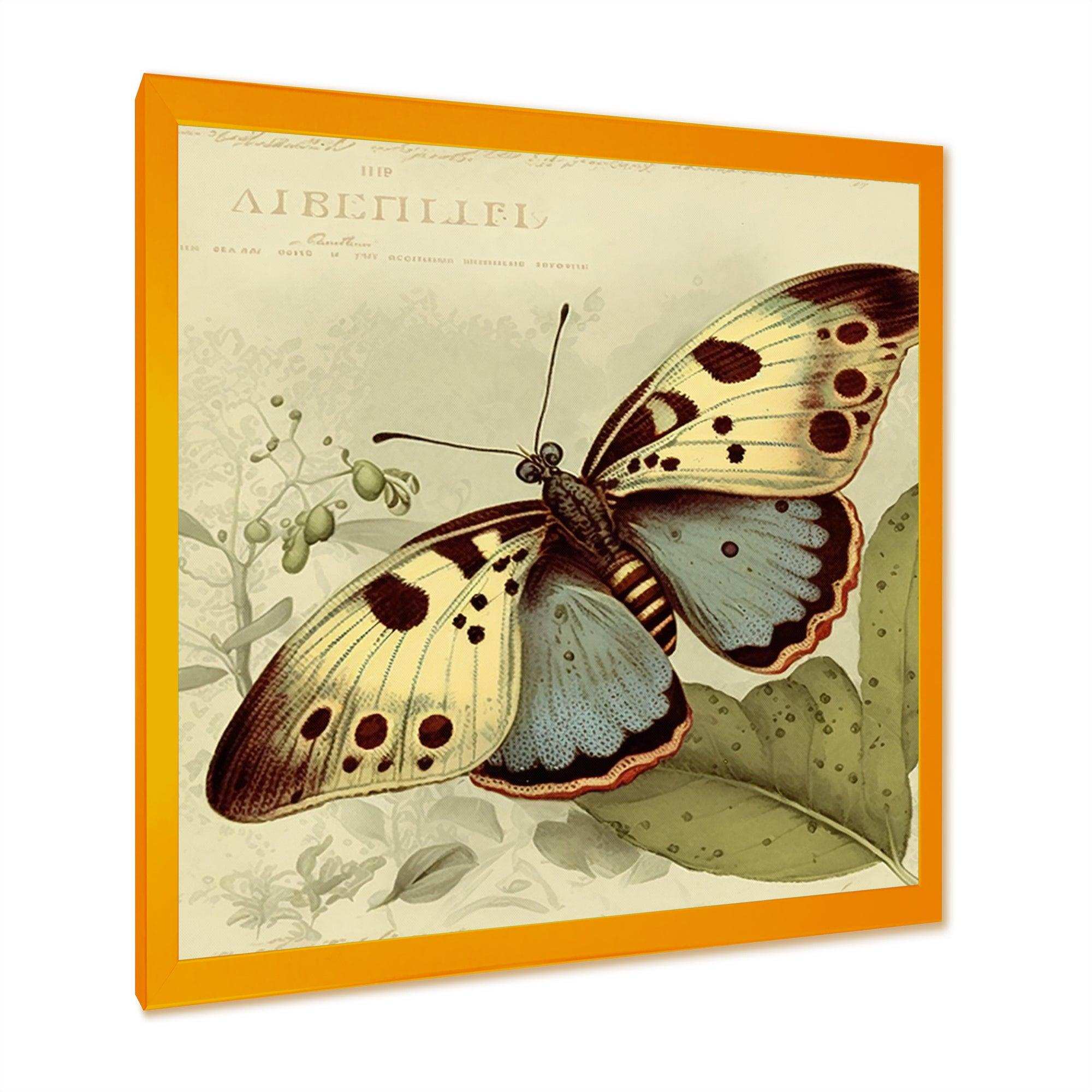 Vintage Illustration Of Butterfly III