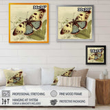 Vintage Illustration Of Butterfly III