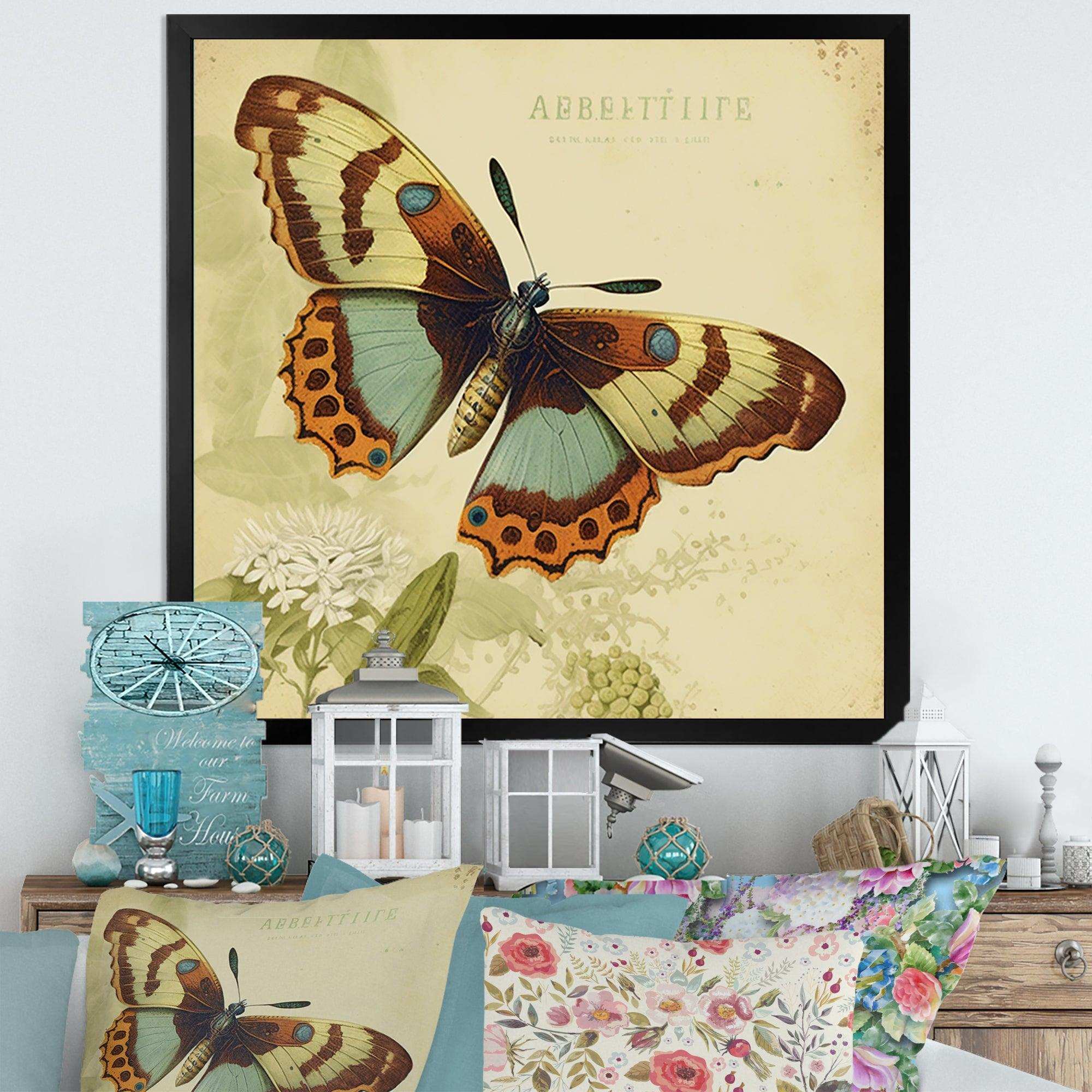 Vintage Illustration Of Butterfly IV