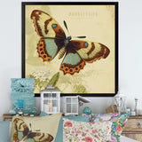 Vintage Illustration Of Butterfly IV