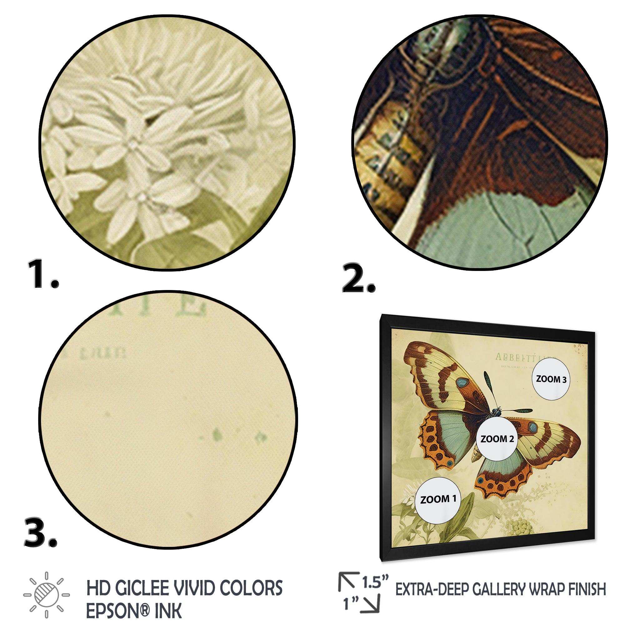 Vintage Illustration Of Butterfly IV