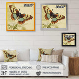 Vintage Illustration Of Butterfly IV