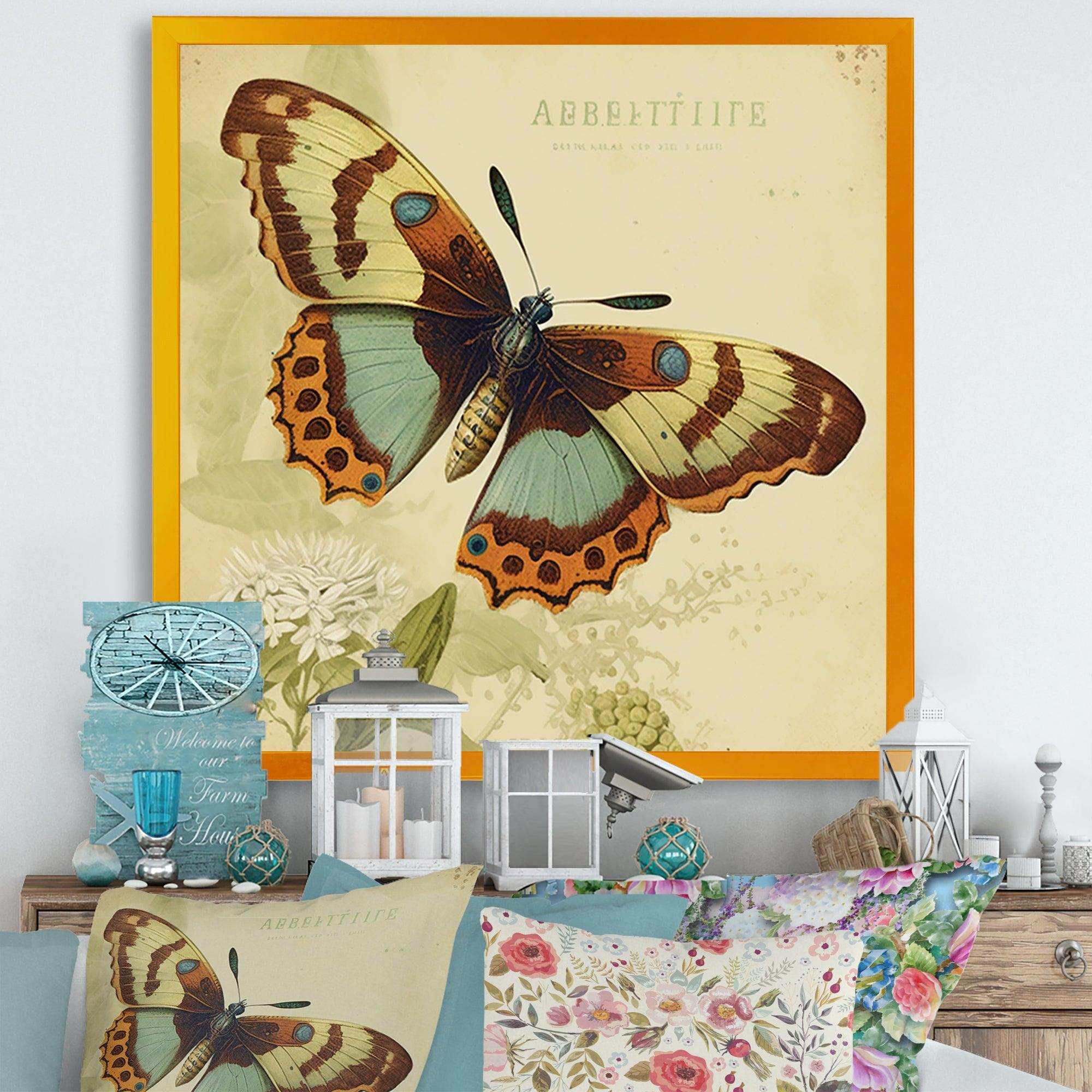 Vintage Illustration Of Butterfly IV