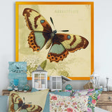 Vintage Illustration Of Butterfly IV