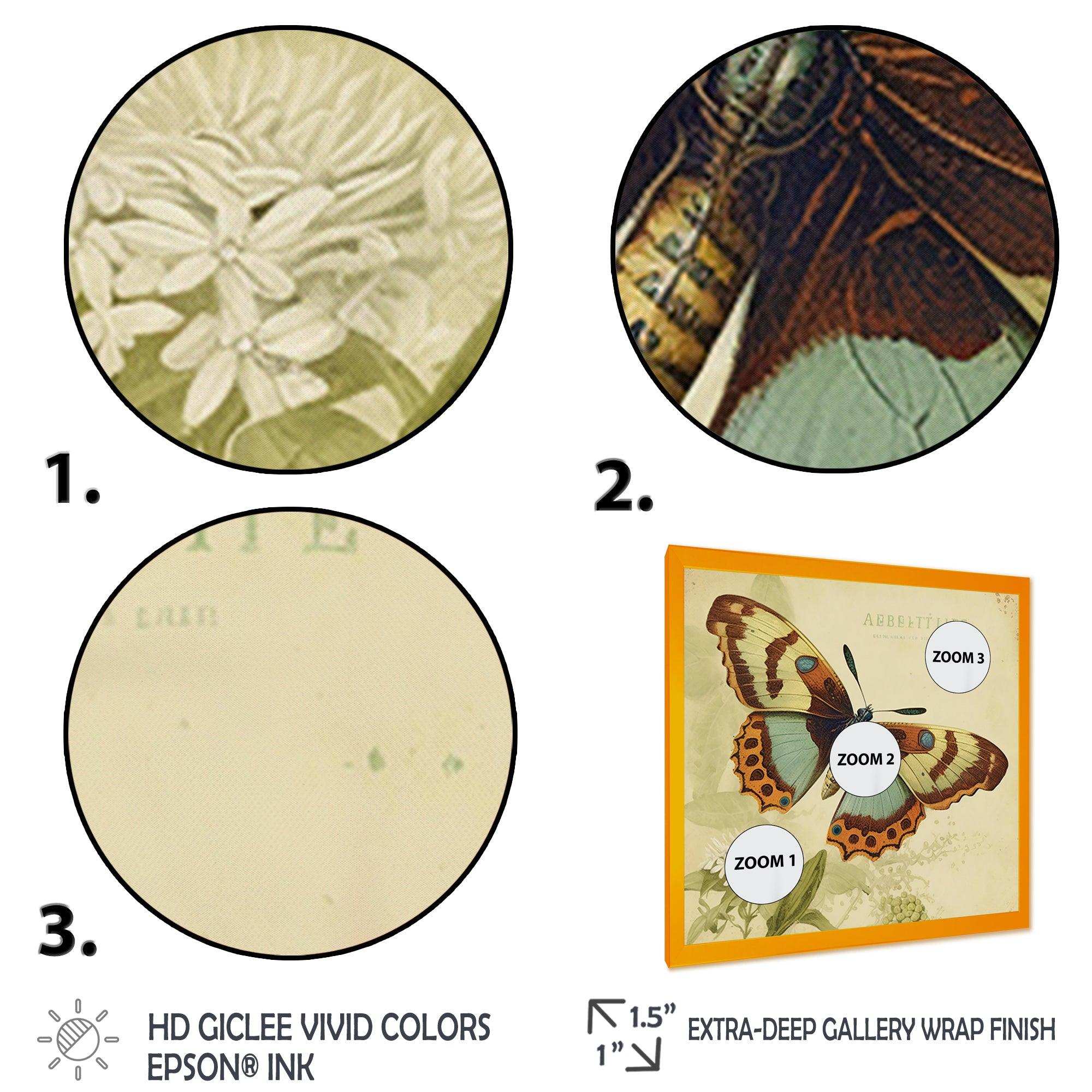 Vintage Illustration Of Butterfly IV