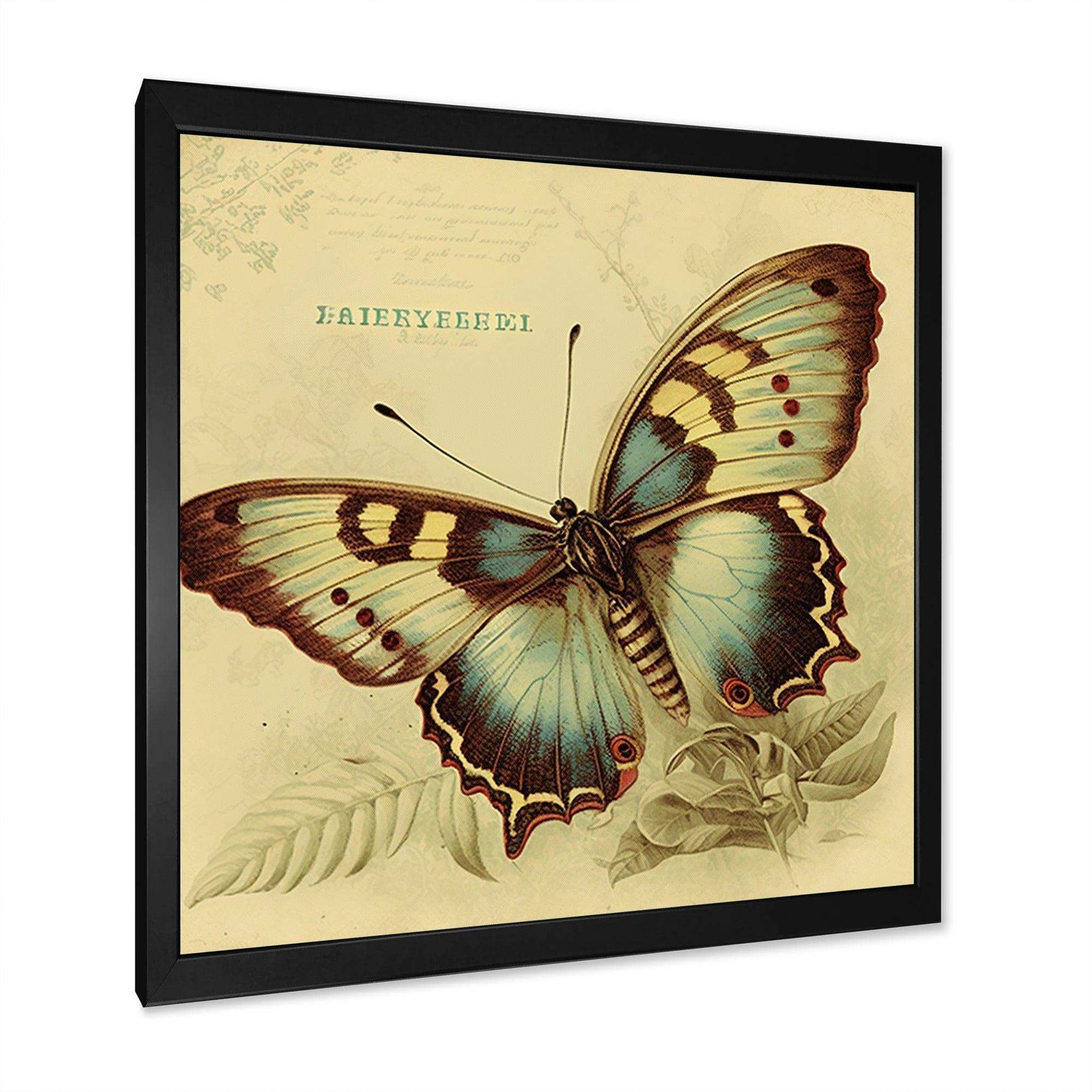 Vintage Illustration Of Butterfly V