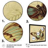 Vintage Illustration Of Butterfly V