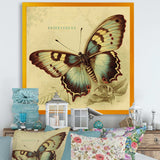 Vintage Illustration Of Butterfly V