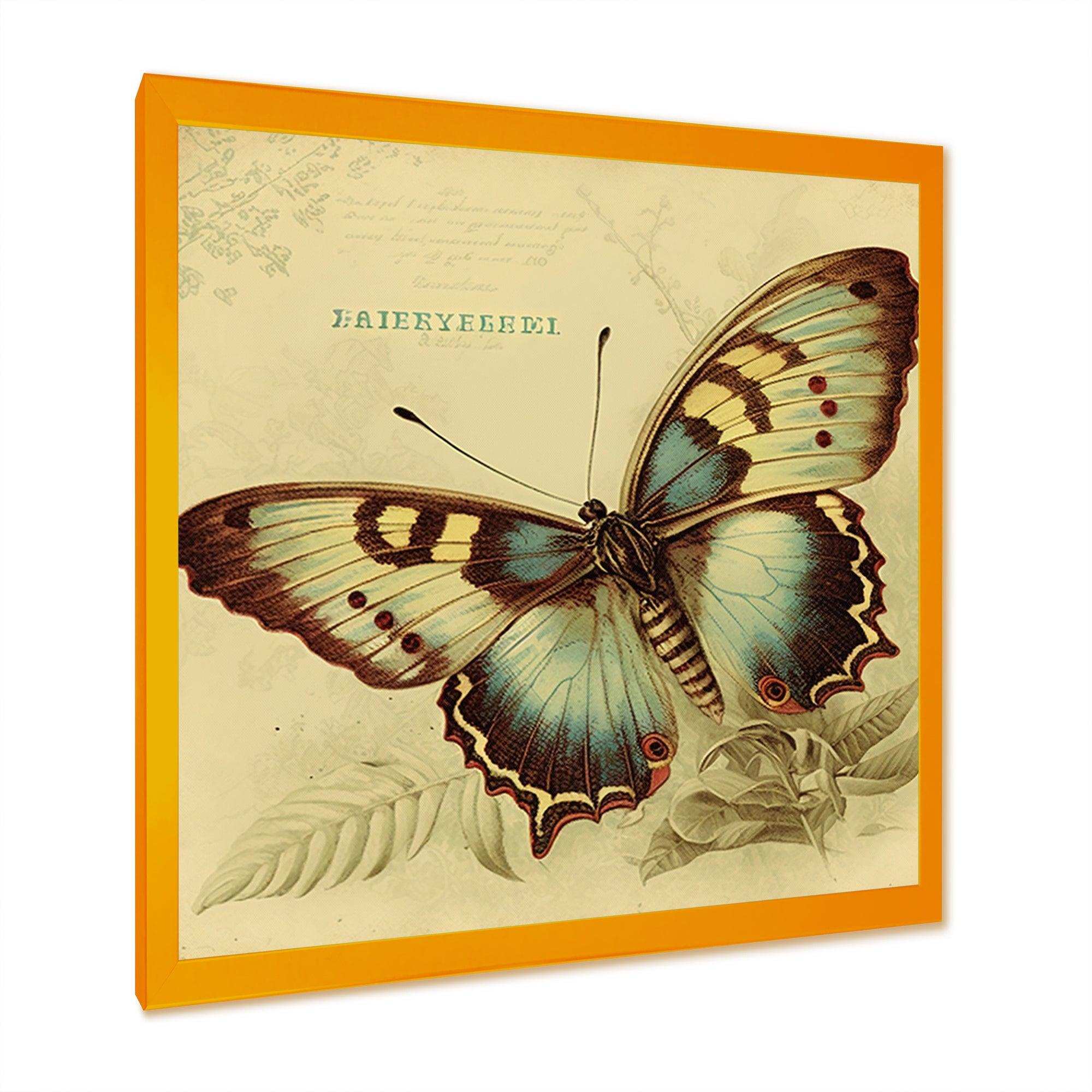 Vintage Illustration Of Butterfly V