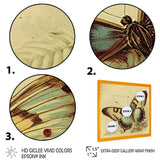 Vintage Illustration Of Butterfly V