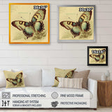 Vintage Illustration Of Butterfly V