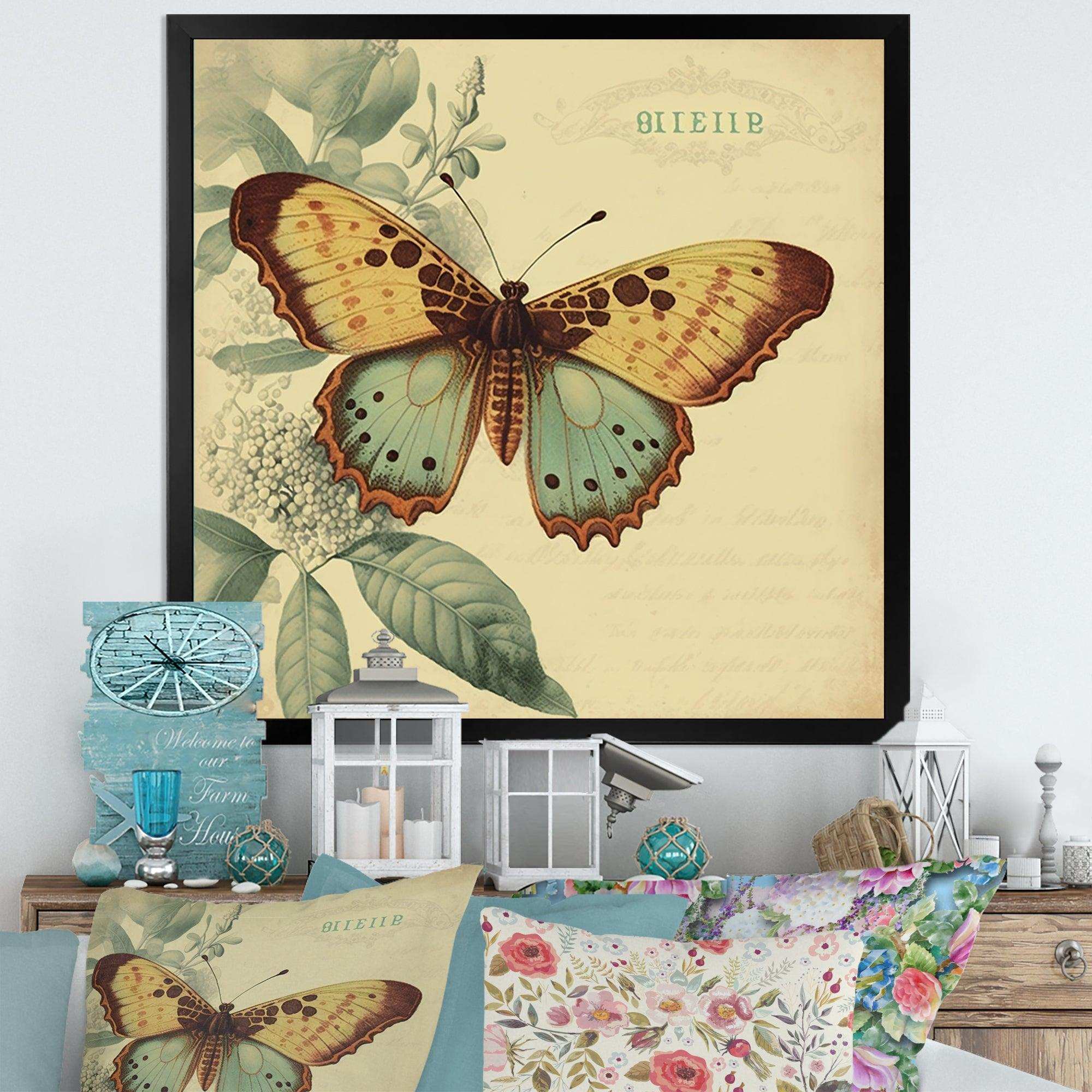 Vintage Illustration Of Butterfly VI