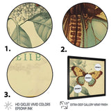 Vintage Illustration Of Butterfly VI