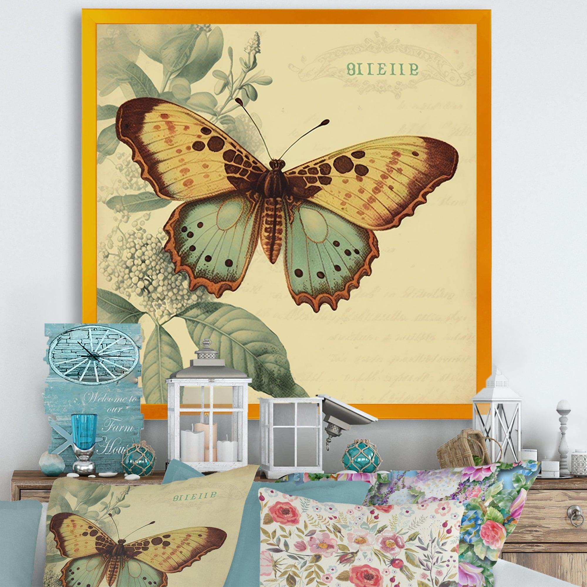 Vintage Illustration Of Butterfly VI