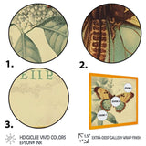 Vintage Illustration Of Butterfly VI