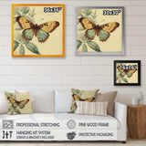 Vintage Illustration Of Butterfly VI