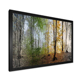 Morning Forest Panoramic View