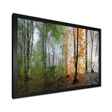 Morning Forest Panorama