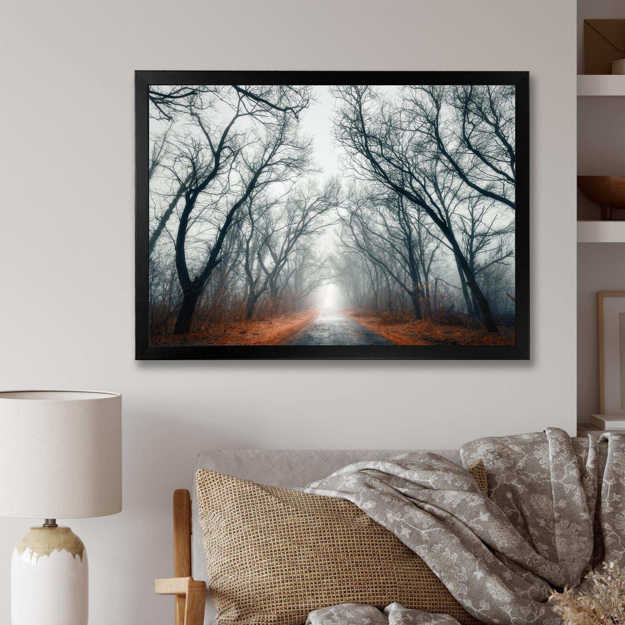 Mystic Road in Forest