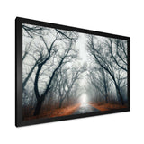 Mystic Road in Forest