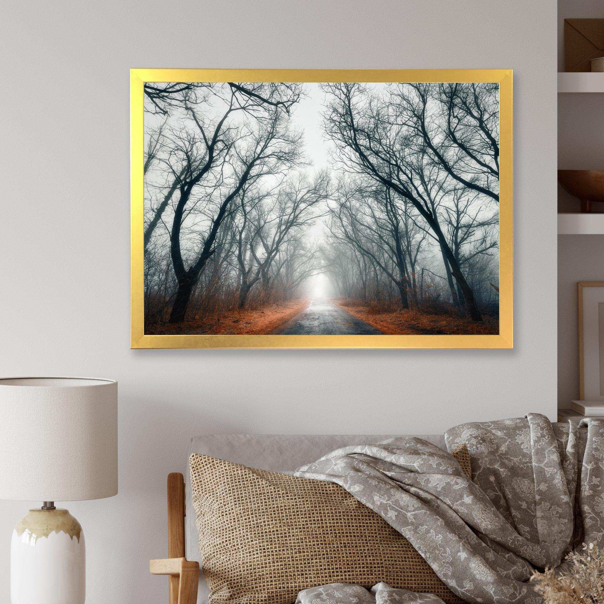 Mystic Road in Forest