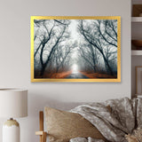 Mystic Road in Forest