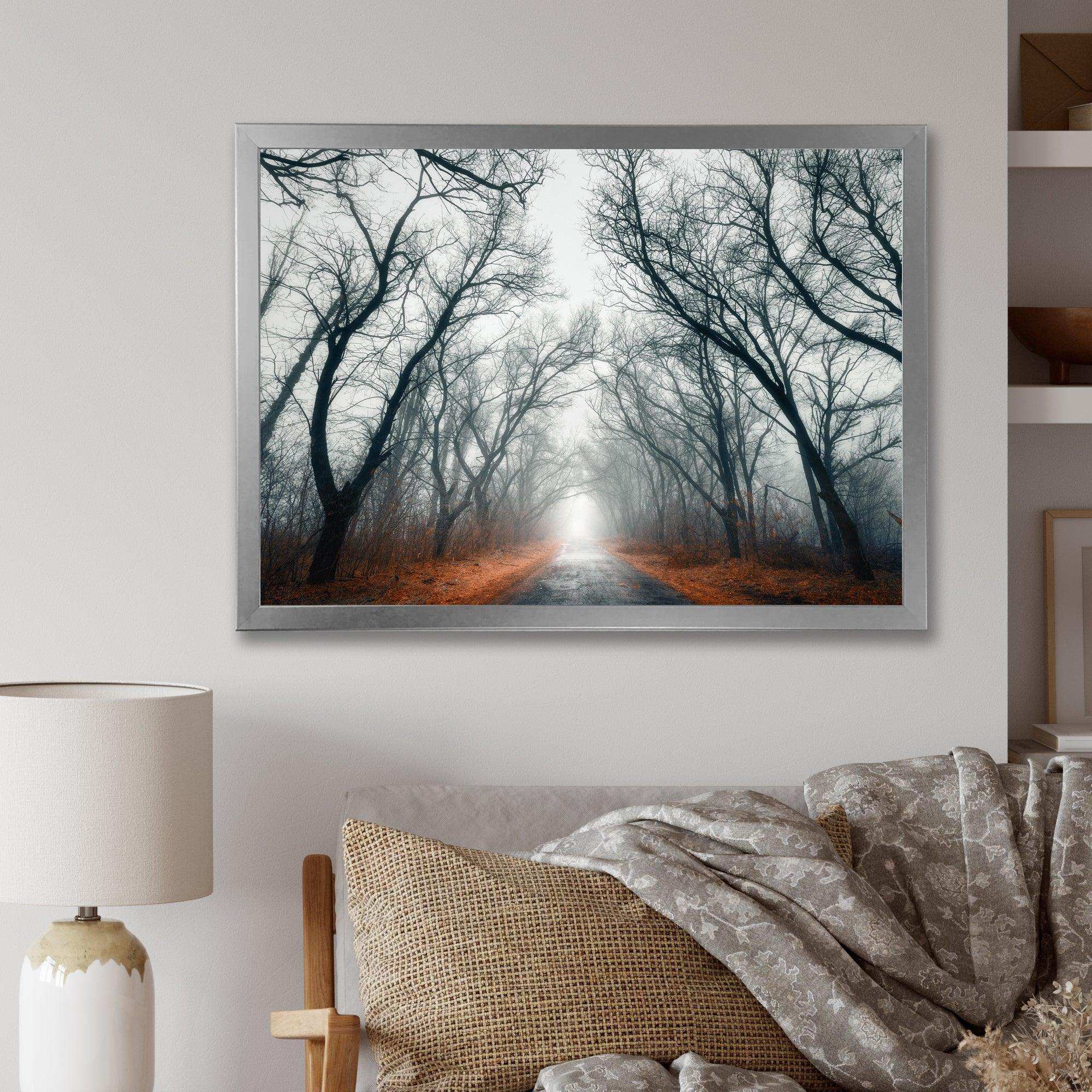 Mystic Road in Forest