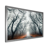 Mystic Road in Forest