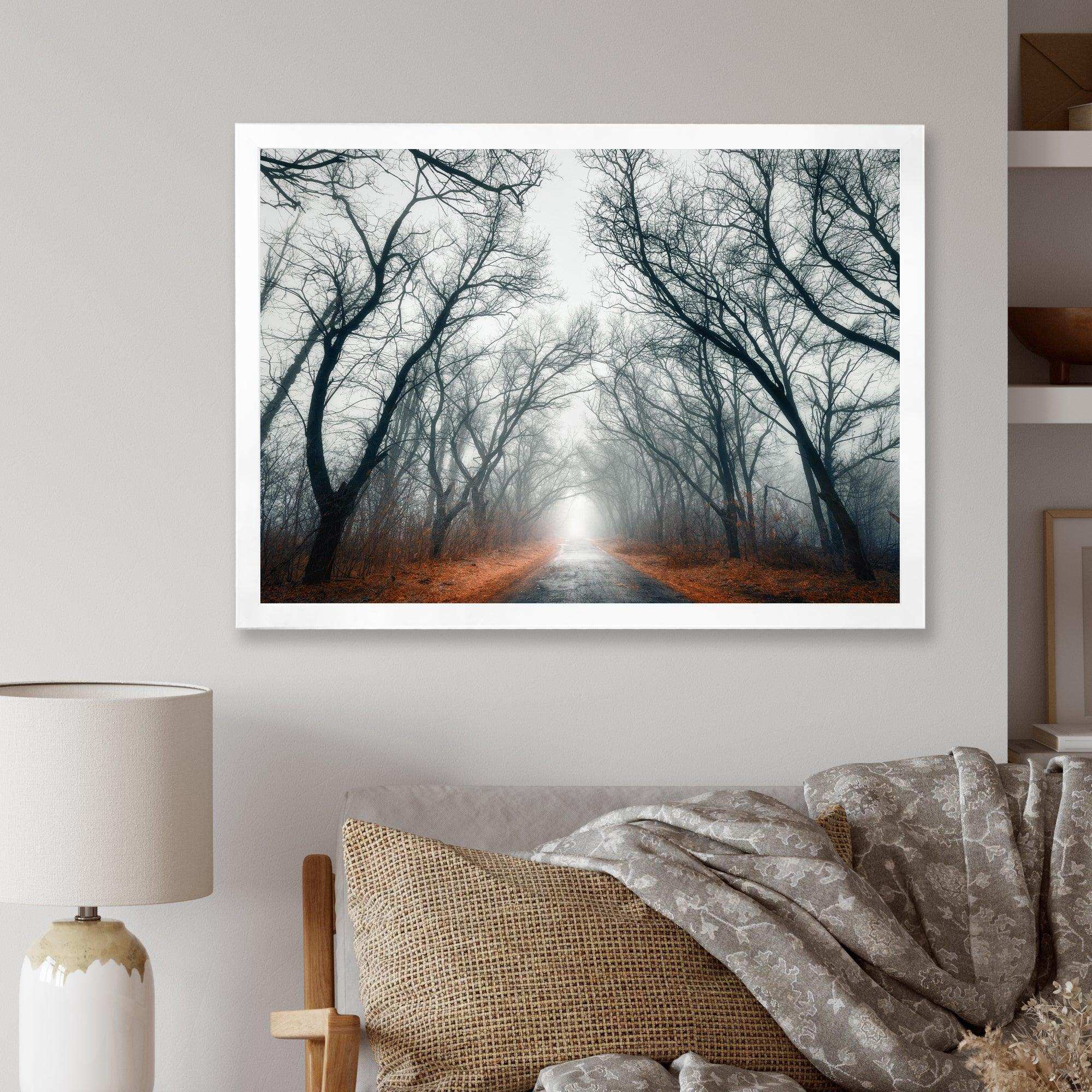 Mystic Road in Forest