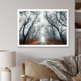 Mystic Road in Forest