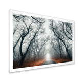 Mystic Road in Forest