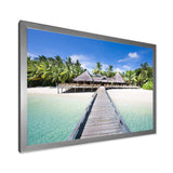 Beach with Coconut Palm Trees