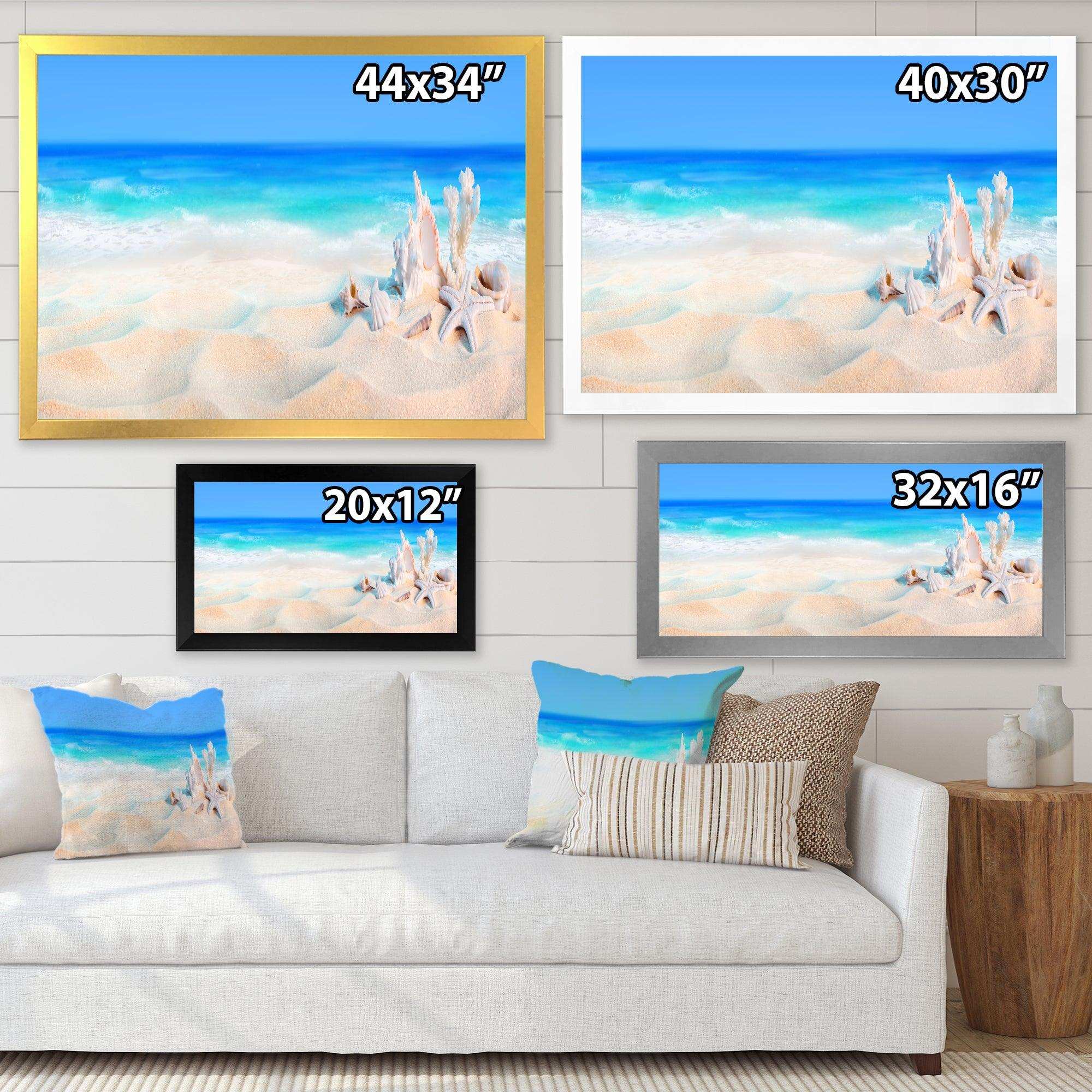 Seashells on Seashore