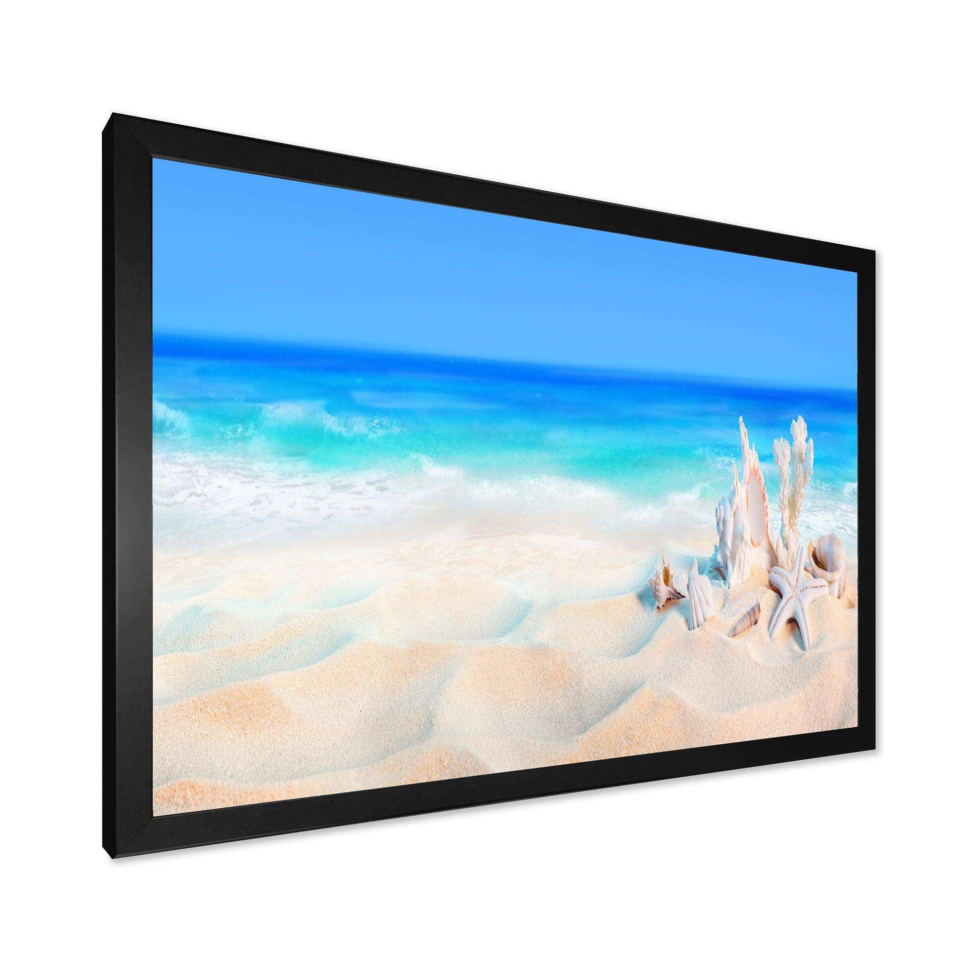 Seashells on Seashore