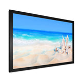 Seashells on Seashore