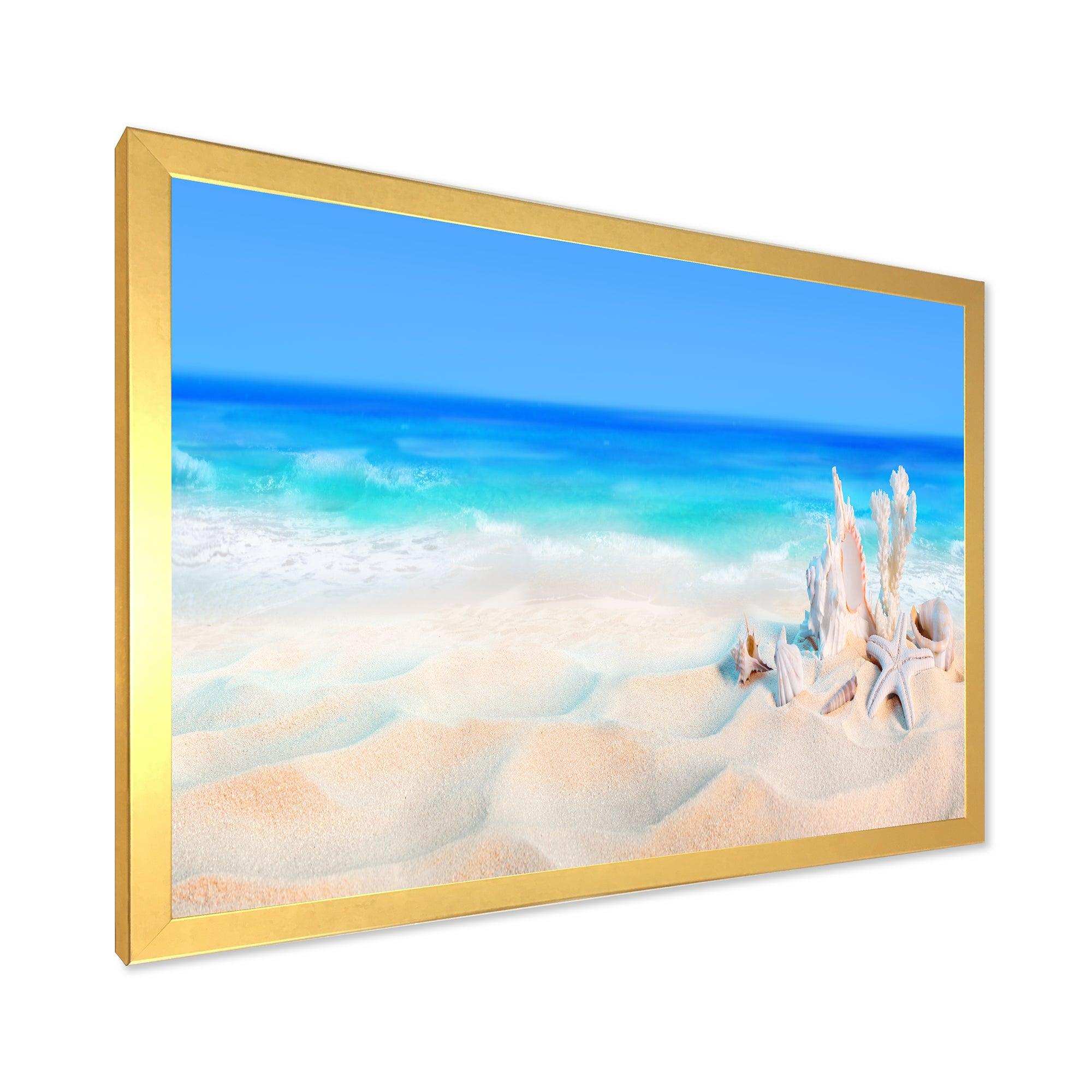 Seashells on Seashore