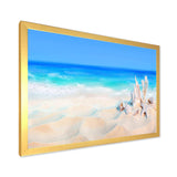 Seashells on Seashore