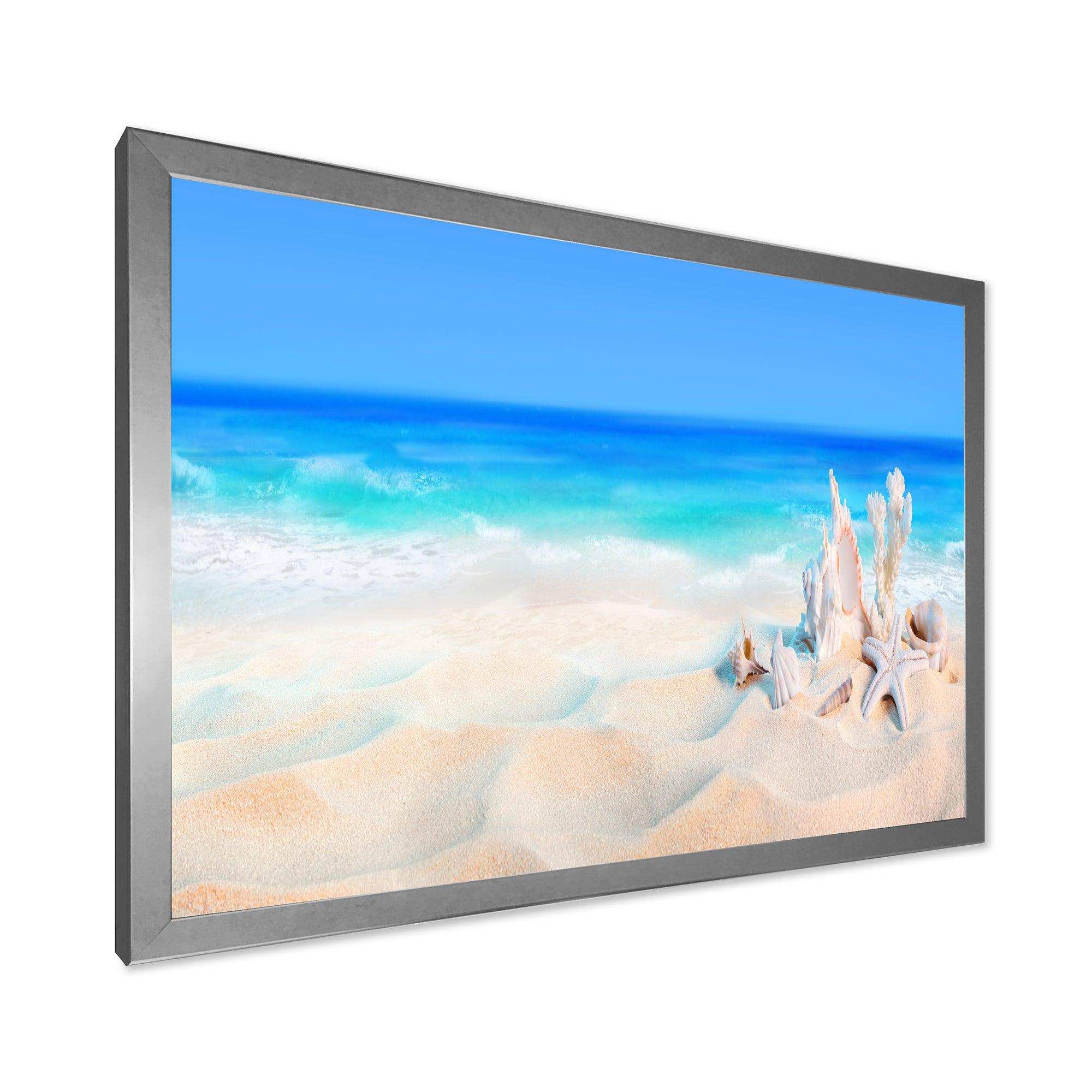 Seashells on Seashore