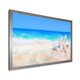 Seashells on Seashore