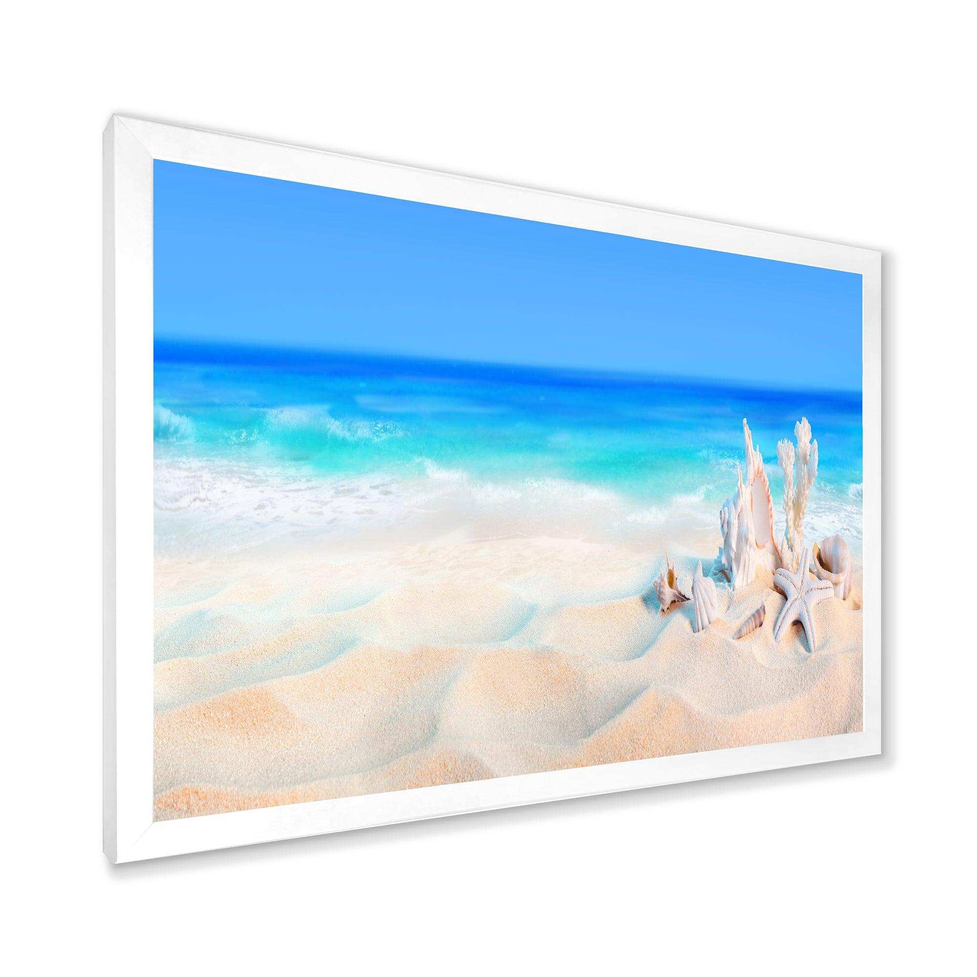 Seashells on Seashore