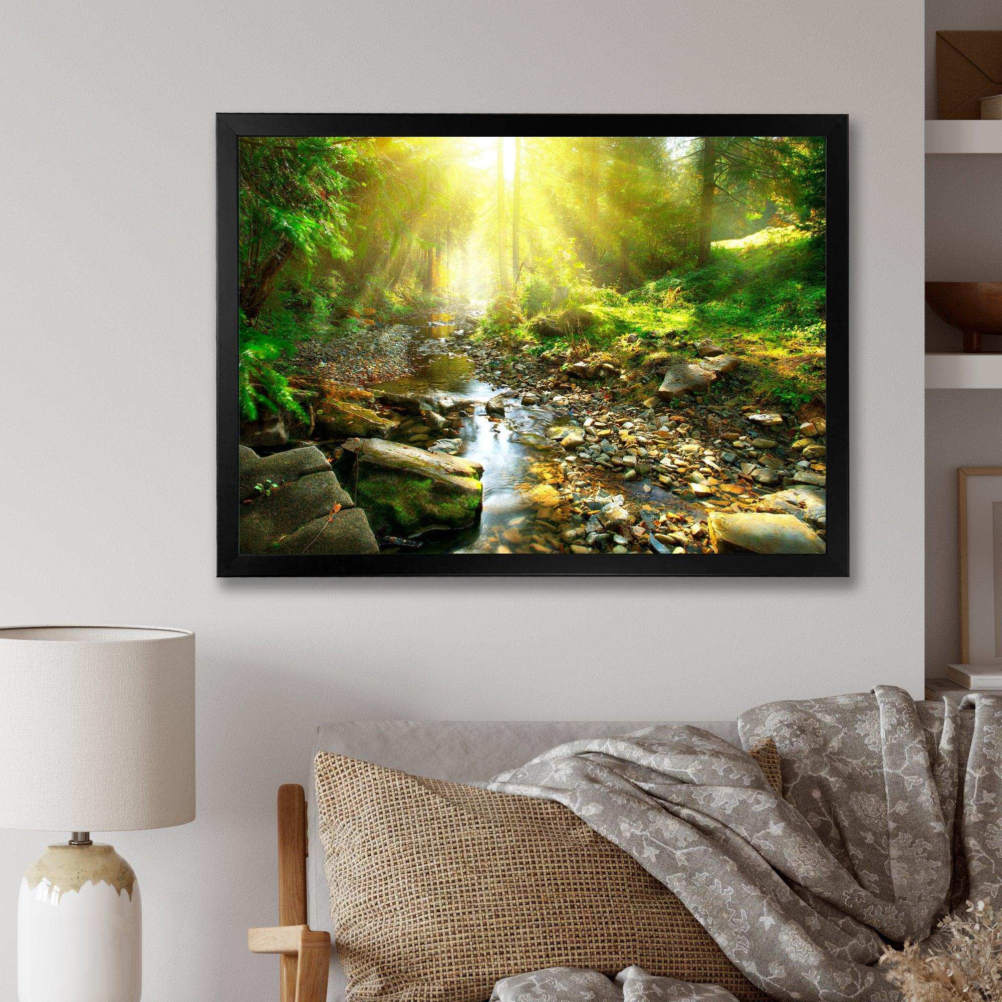 Mountain Stream in Forest