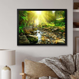 Mountain Stream in Forest