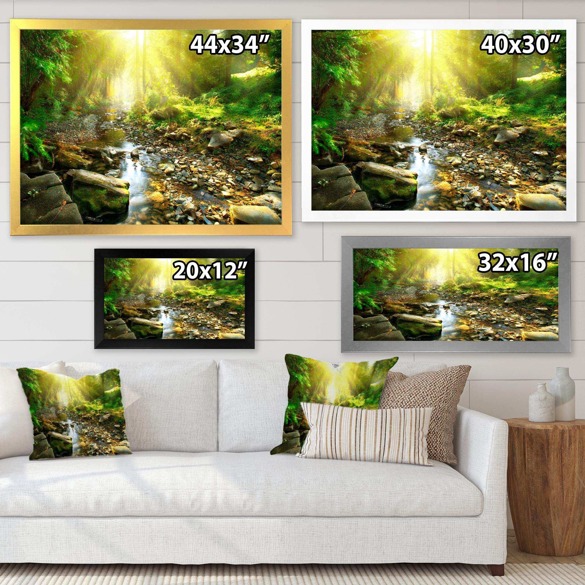 Mountain Stream in Forest